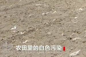 中国每年用地膜超百万吨污染环境上百年难降解