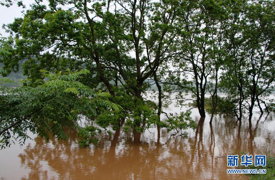 广西江西两地暴雨漫城 暴雨蓝色预警[组图]