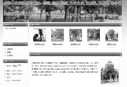 河南一副县级领导涉嫌开苗圃卖树林业局称难查证
