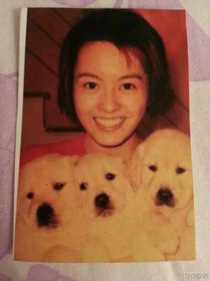 爱犬去世梁咏琪发文悼念感慨：时间流逝的真快