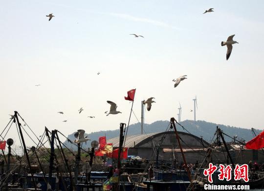 黄渤海区伏季休渔期过半渔政多举措维护伏休秩序