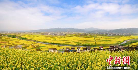 重庆赏花渐入佳季边城秀山邀四方宾客共赏春花